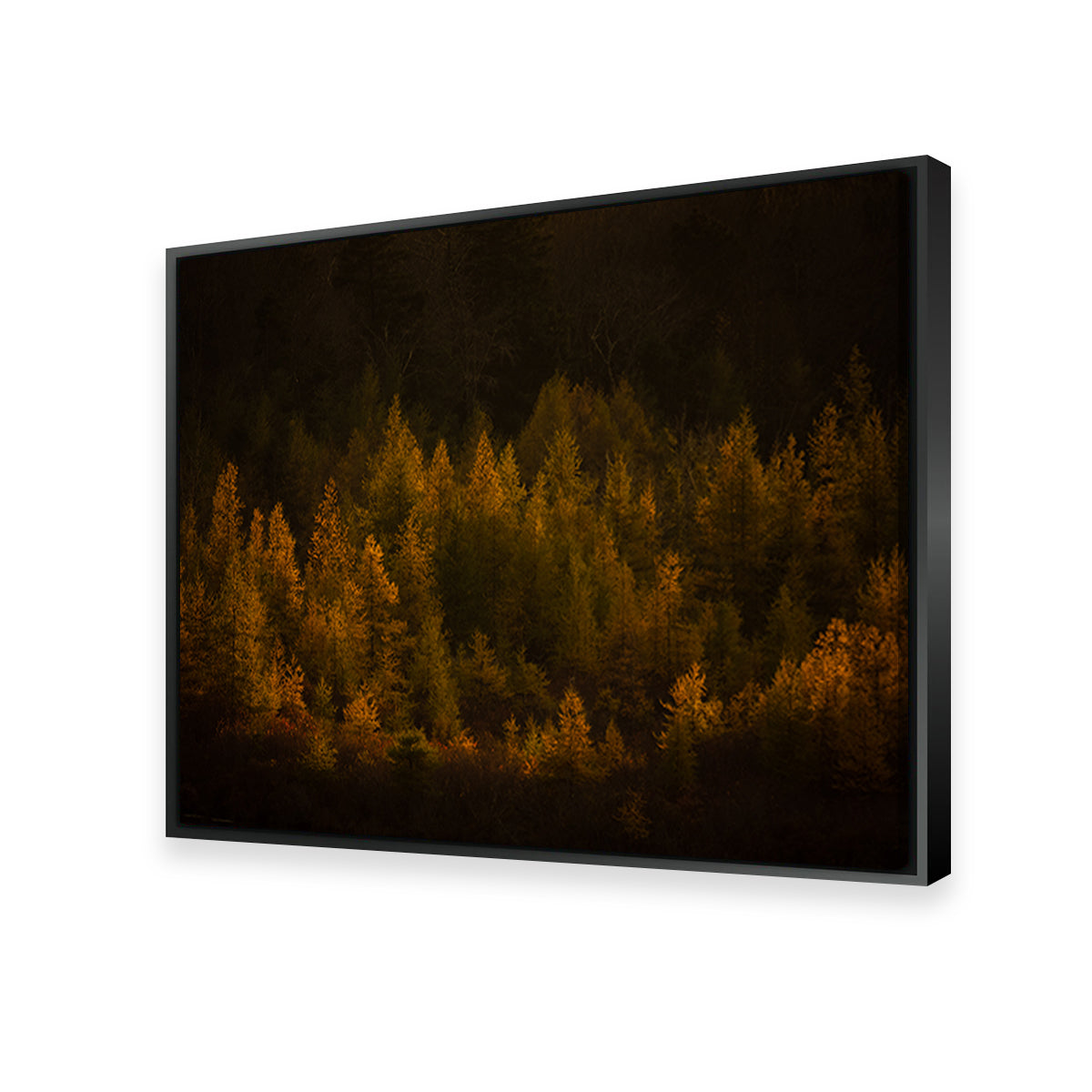 Stunning Golden Slumber Wall Art by Dennis Maida