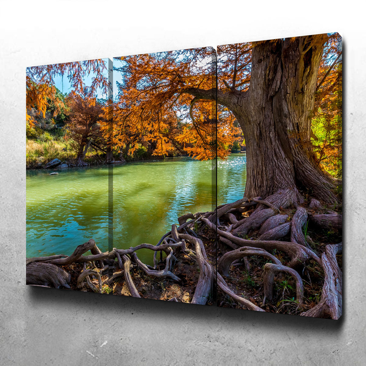 Stunning Guadalupe State Park Wall Art - Museum Quality Canvas