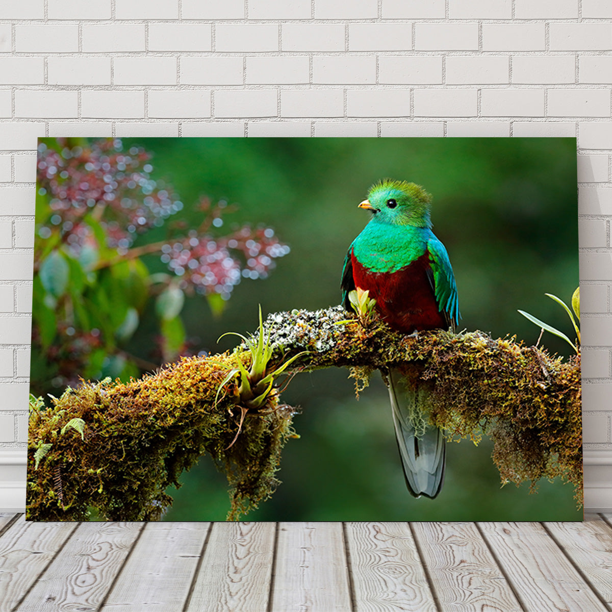 Stunning Resplendent Quetzal Wall Art for a Captivating Home Decor