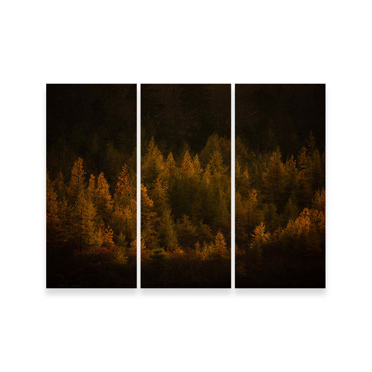 Stunning Golden Slumber Wall Art by Dennis Maida