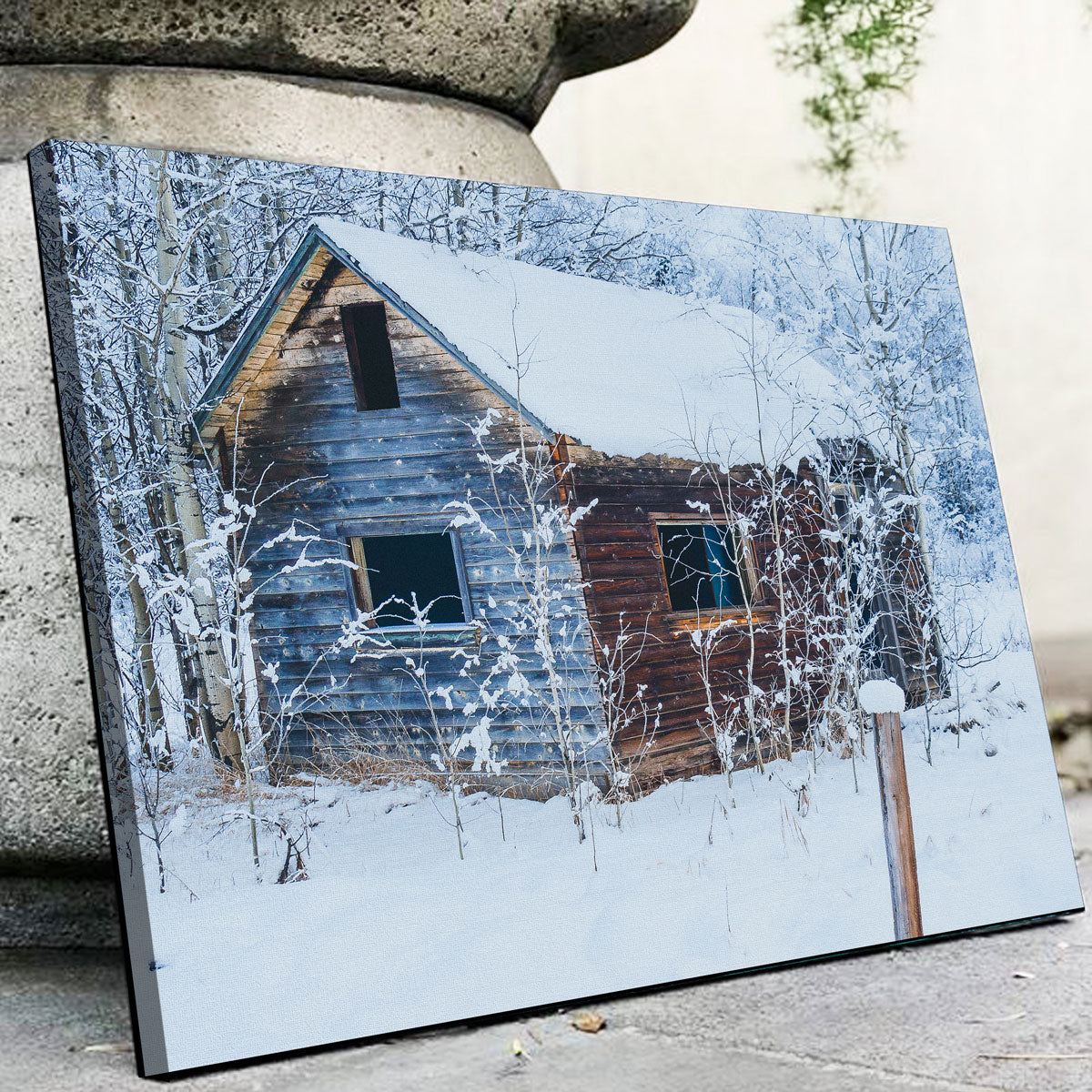Stunning Abandoned Cabin Wall Art by Mike Cotton
