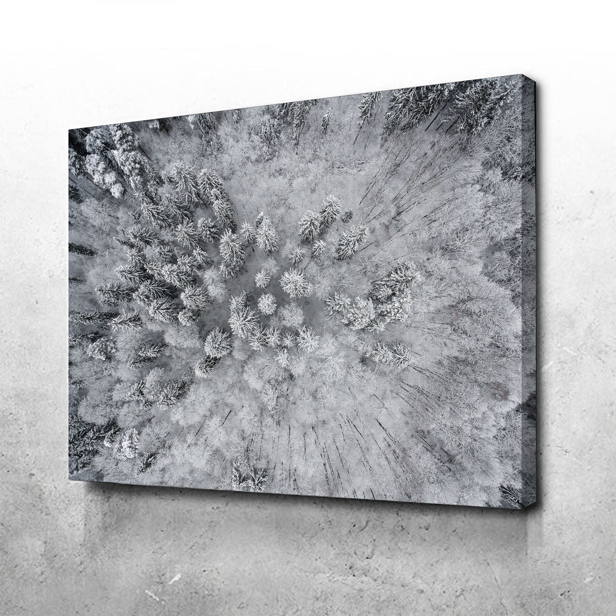 Exquisite Forest Snow Wall Art by Karolis Janulis