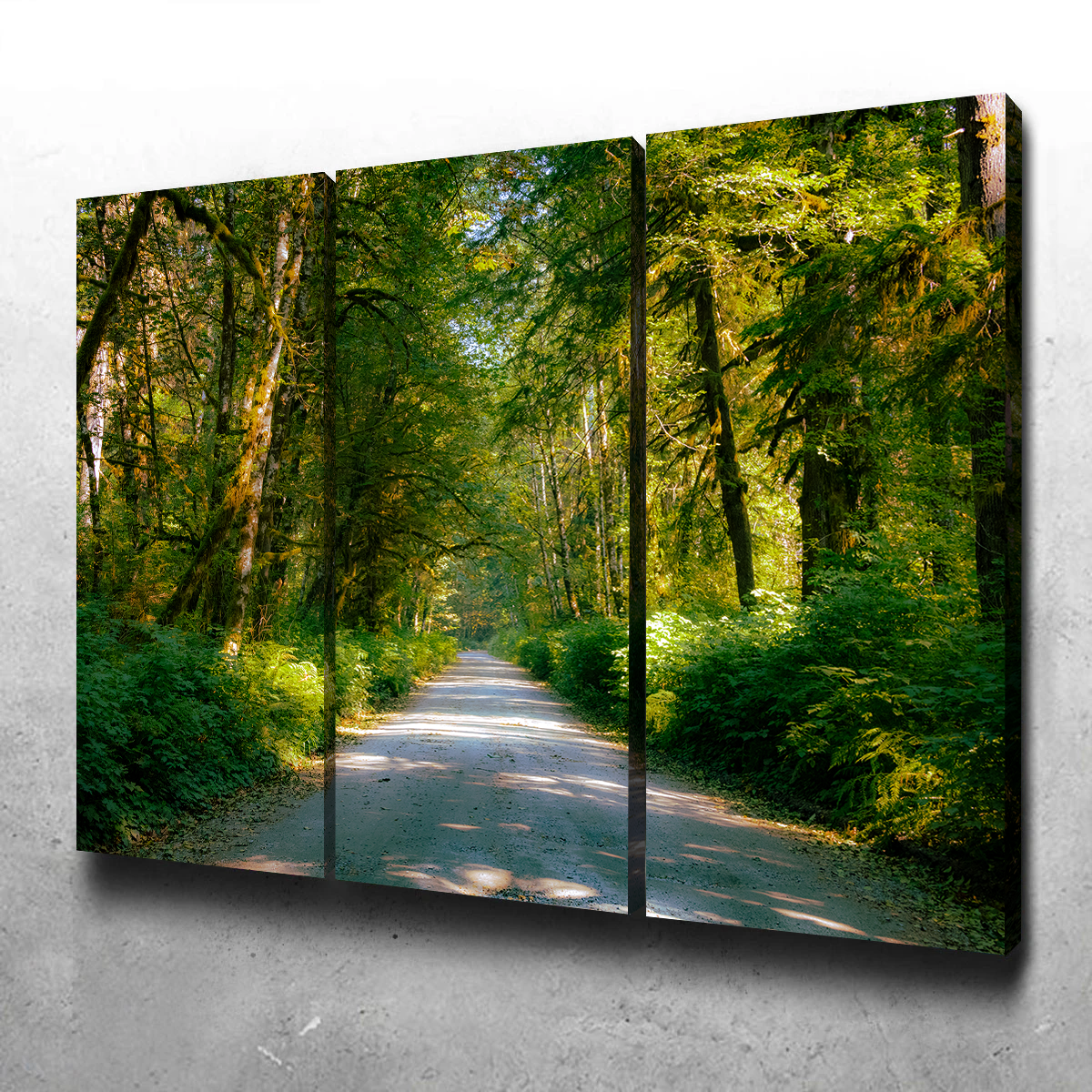 Exquisite Rainforest Road Wall Art by Kyle Sherry