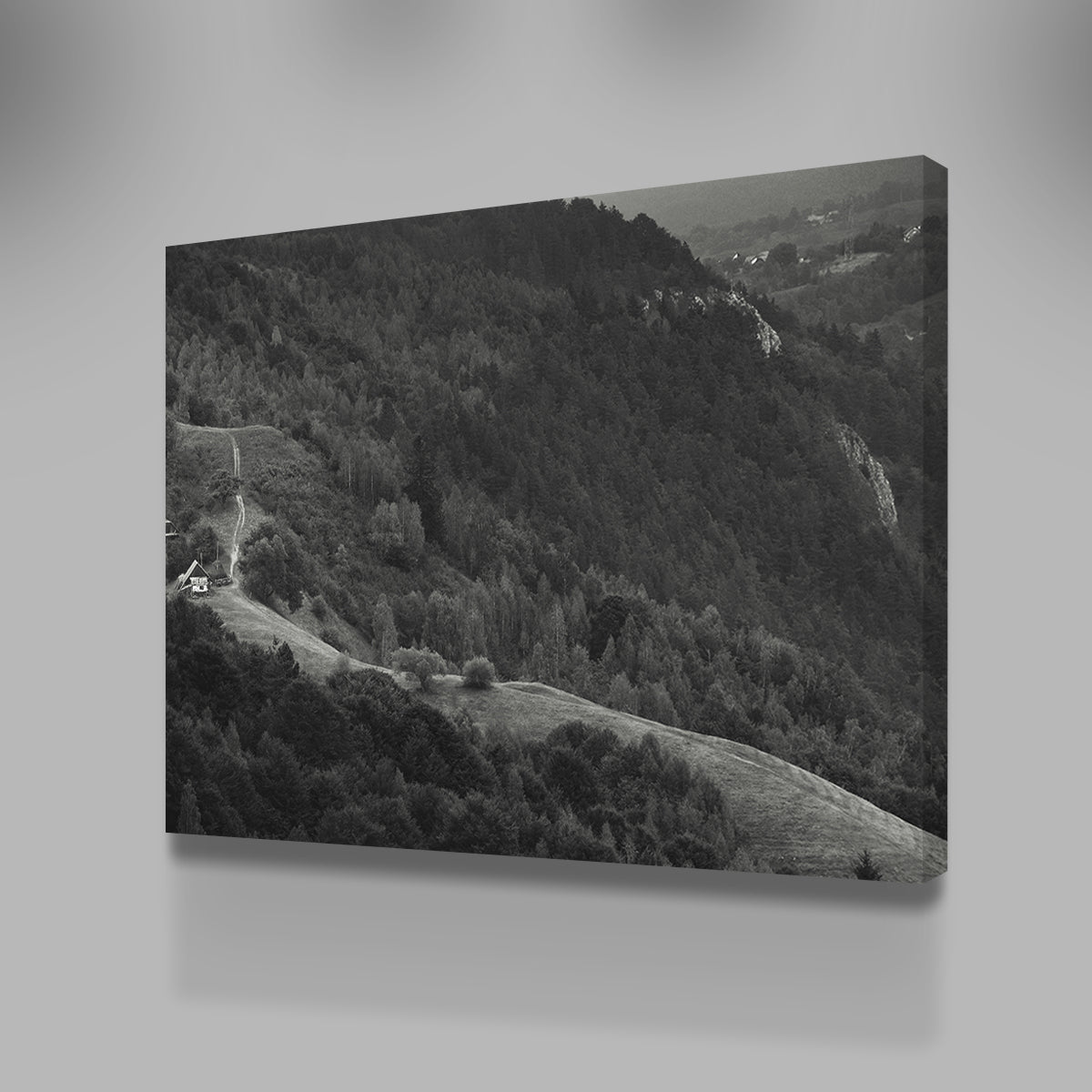 Exquisite Romania Hill Wall Art by George Sorin