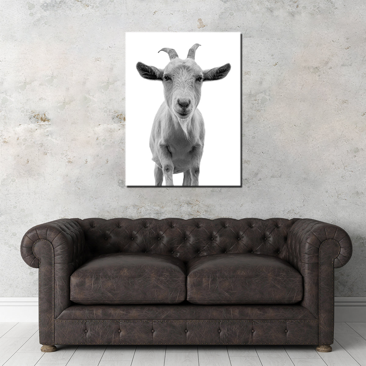 Hilarious Goat Wall Art by Lawisi - Museum Quality