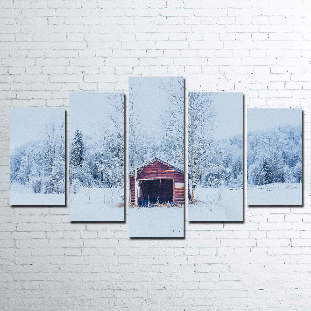 Unique Abandoned Shed Wall Art by Mike Cotton