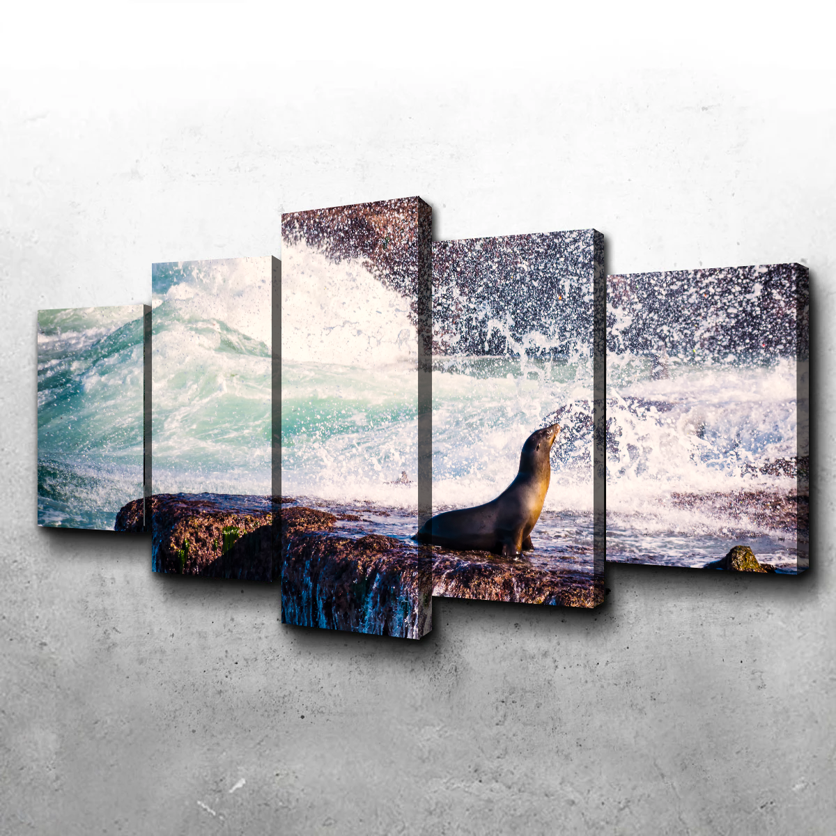 Stunning Sea Lion Surf La Jolla Wall Art for Coastal Home Decor