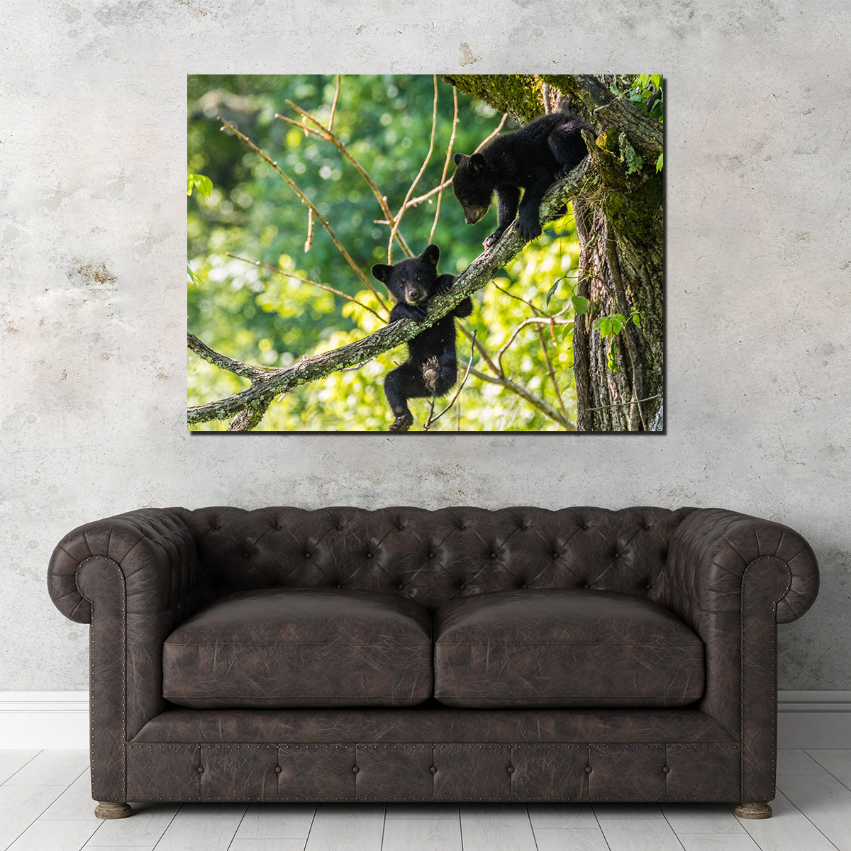 Adorable Black Bear Cubs Playing Wall Art - Perfect for Home Decor