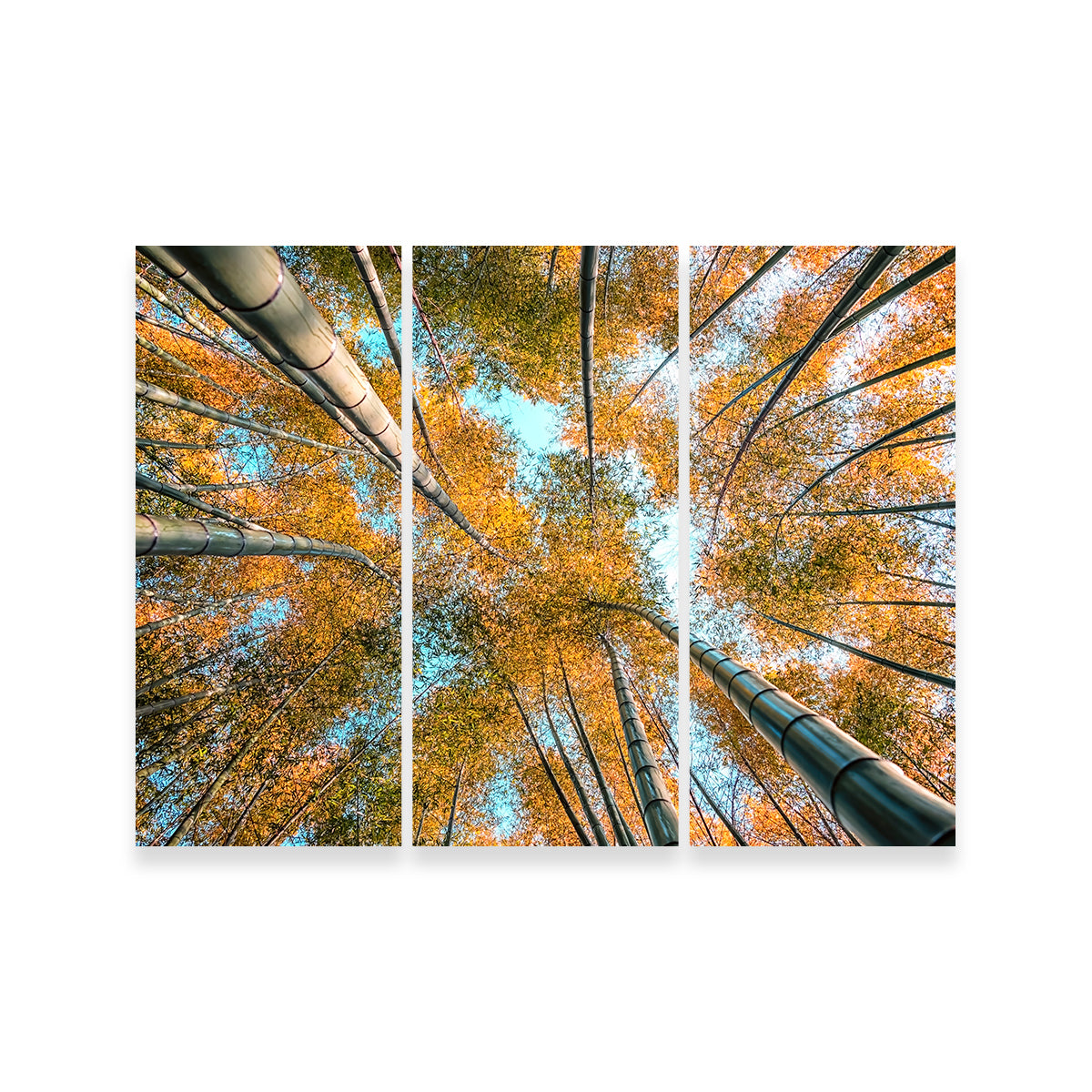 Stunning Into The Grove Wall Art for Your Home Decor