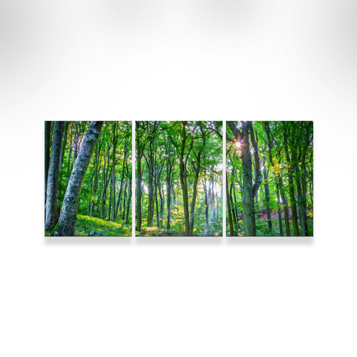 Gorgeous Emerald Forest Wall Art by Denise Dundon