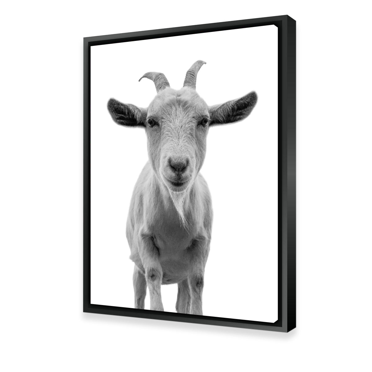 Hilarious Goat Wall Art by Lawisi - Museum Quality