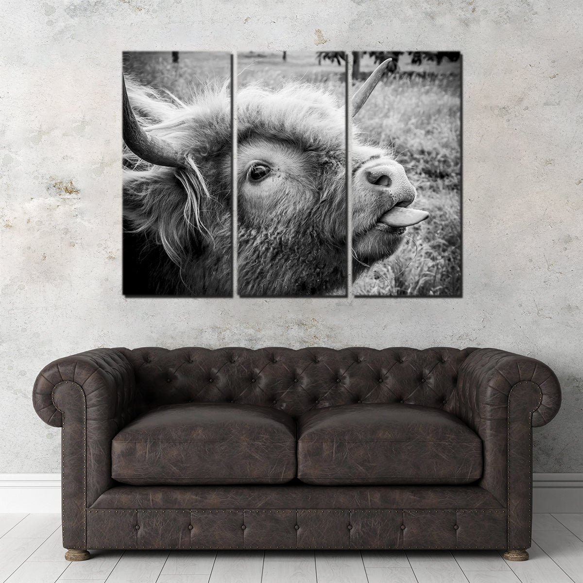 Hilarious Cow Wall Art for Home Decor