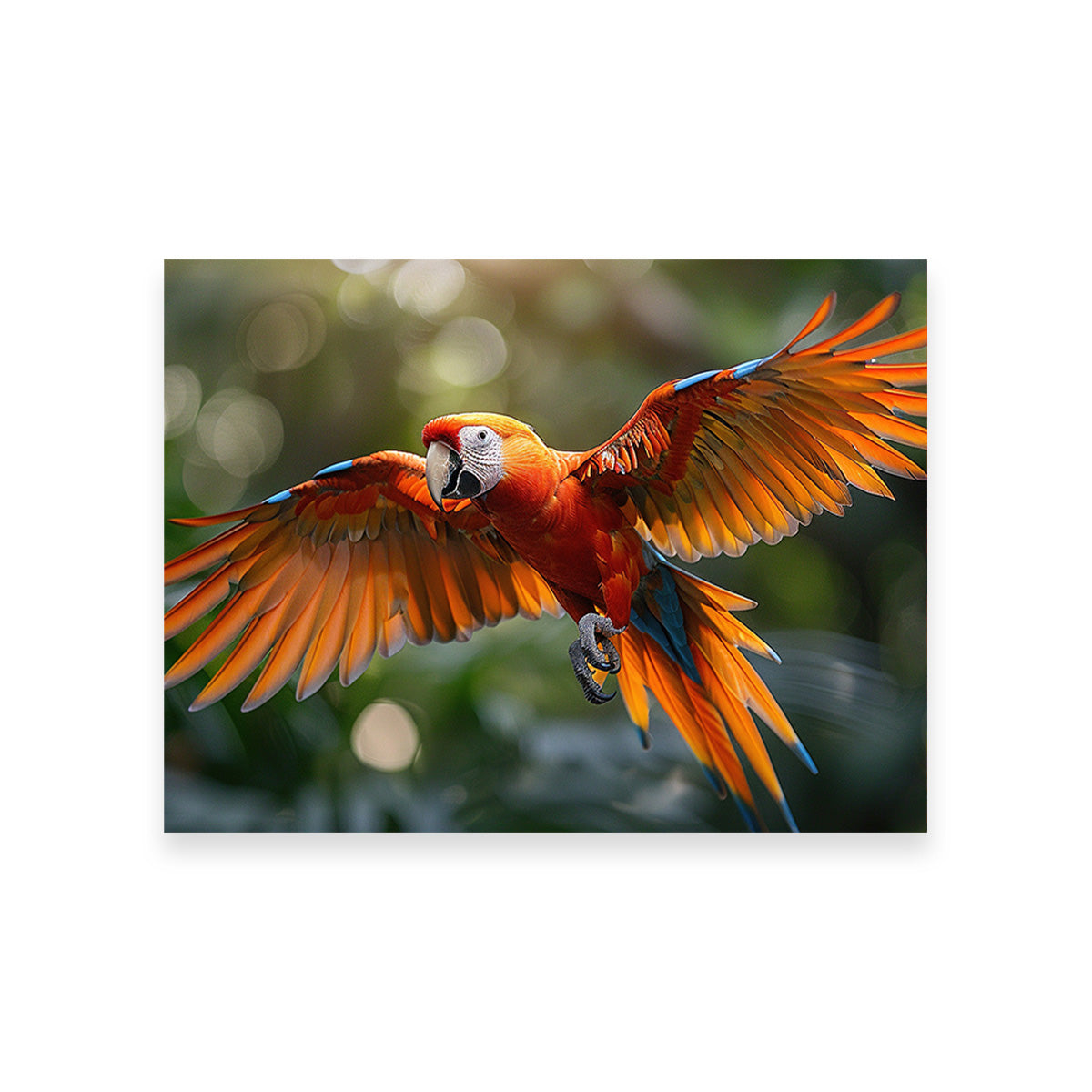 Stunning Scarlet Macaw in Flight Wall Art for Home Decor