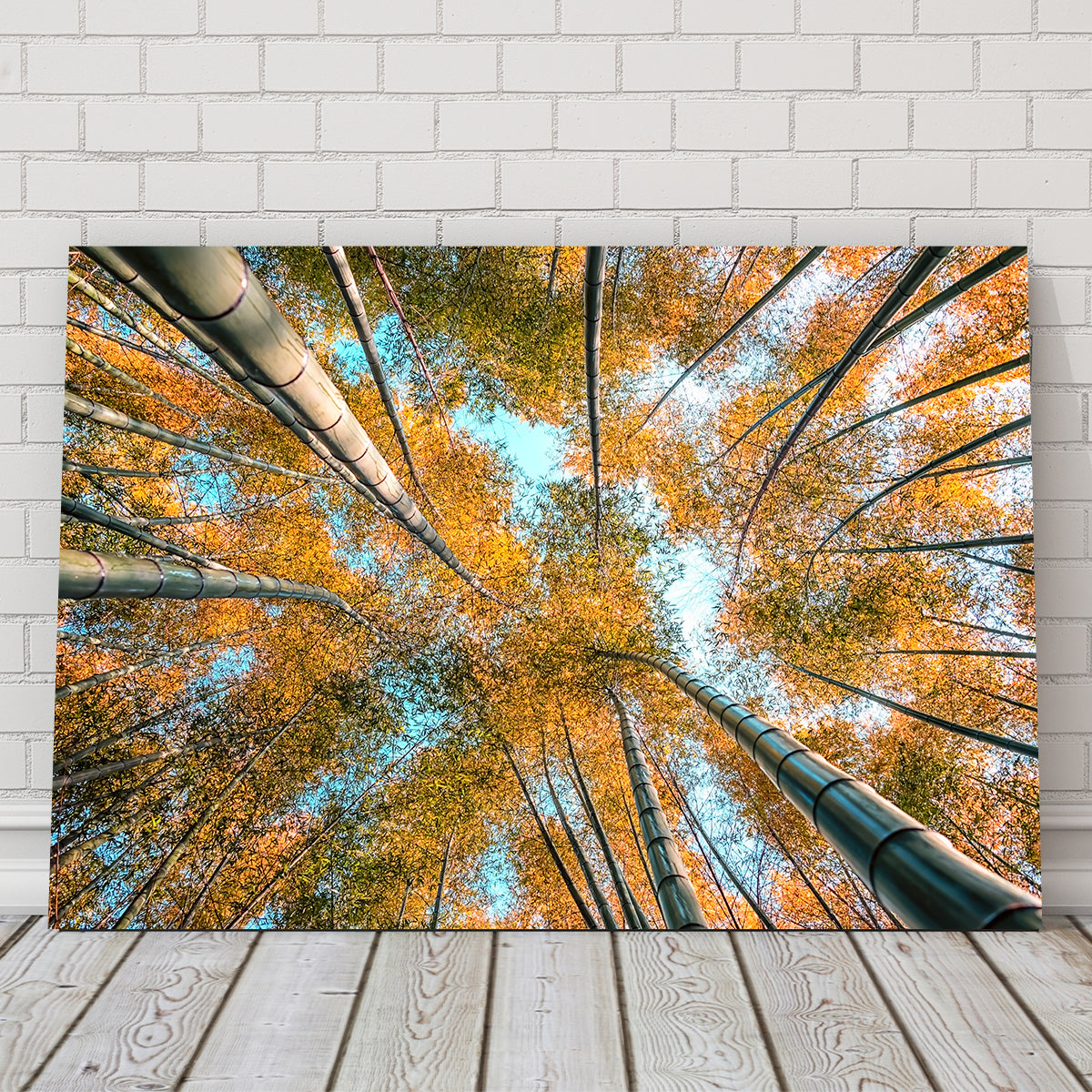 Stunning Into The Grove Wall Art for Your Home Decor