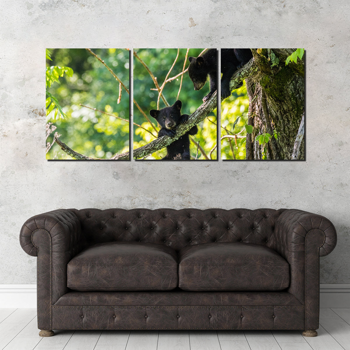 Adorable Black Bear Cubs Playing Wall Art - Perfect for Home Decor