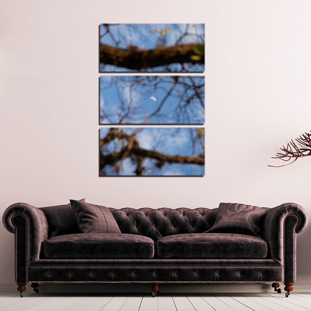 Exquisite Quarter Moon Among the Tree Wall Art by Sofia Leite Fonseca