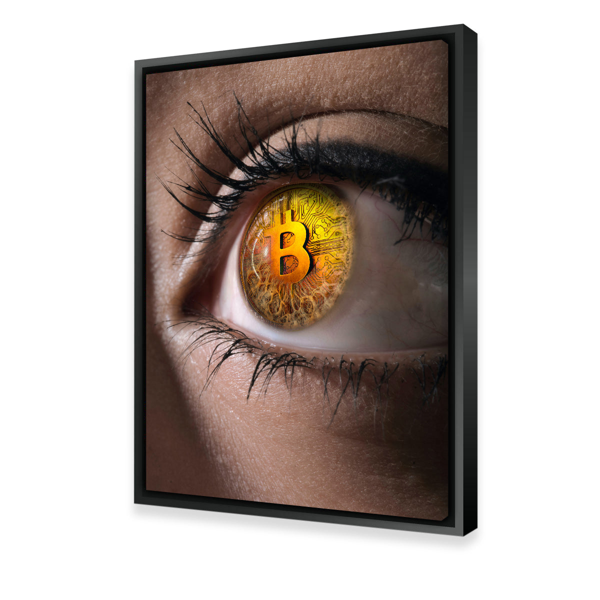 Eye - Catching Bitcoin Wall Art for Modern Spaces