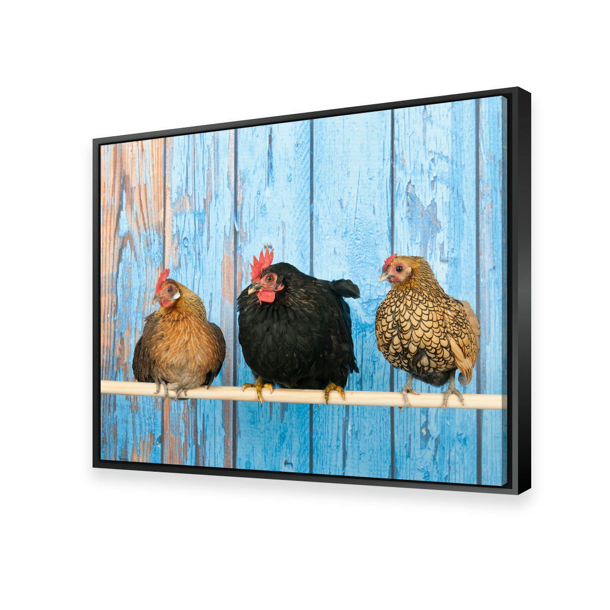 Exquisite Chickens in Henhouse Wall Art for Home Decor