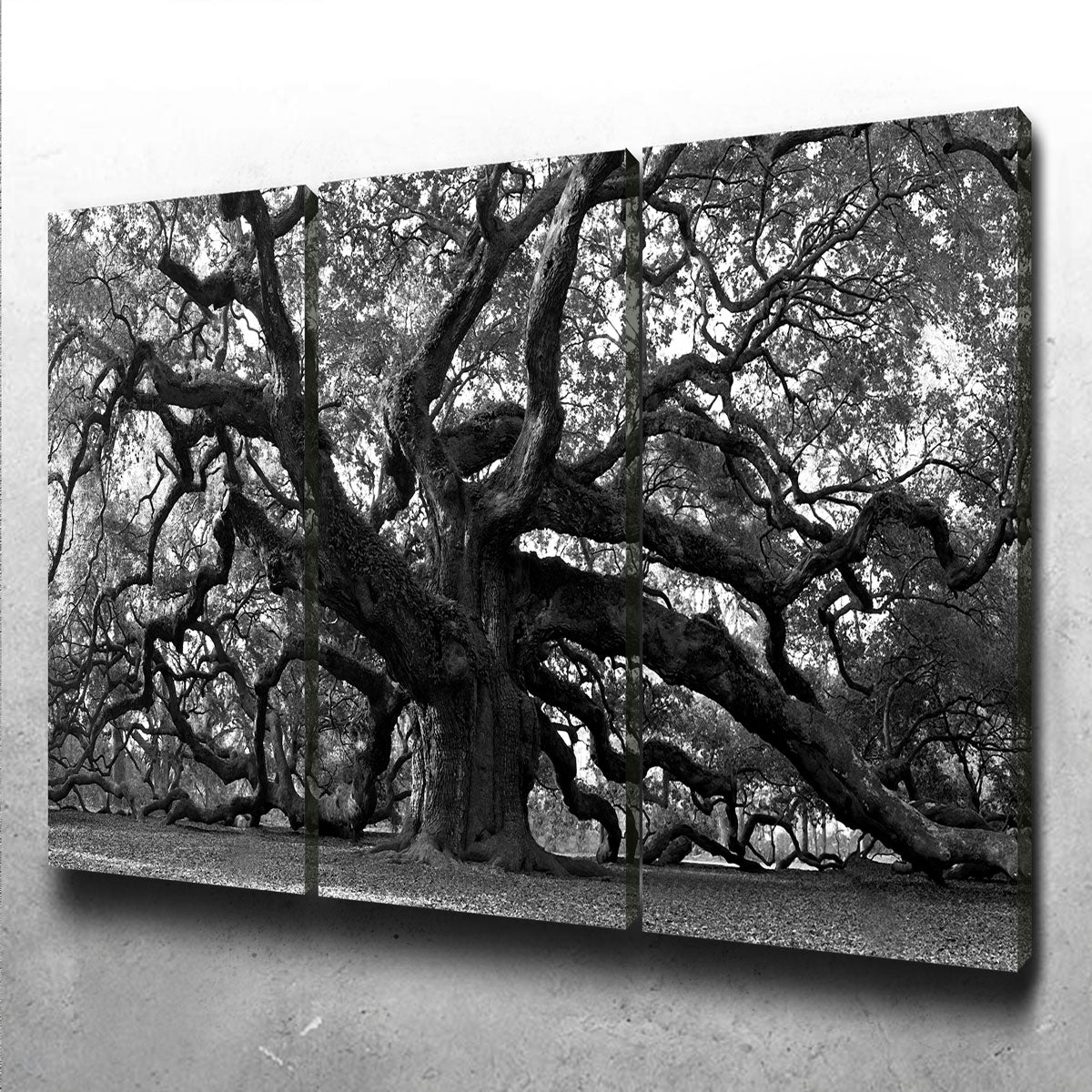 Stunning Charleston Angel Oak V2 Wall Art for Home Decor