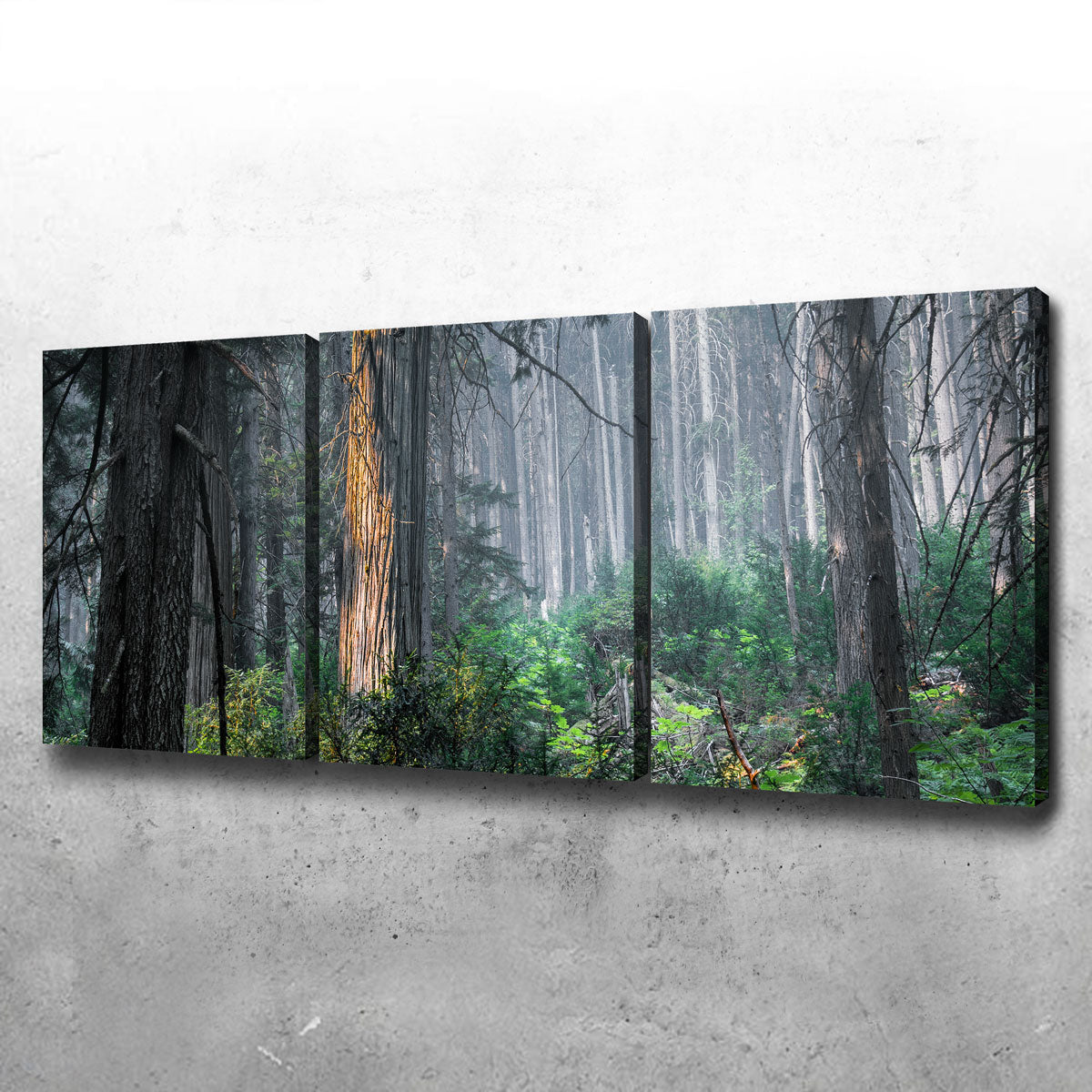Exquisite Revelstoke Wall Art by Mike Cotton