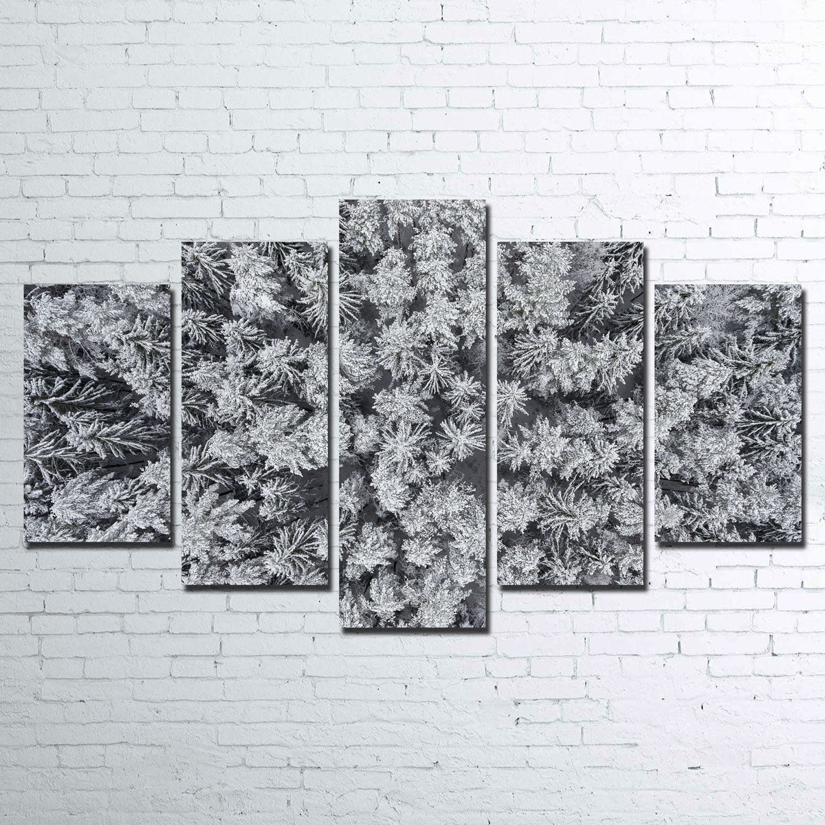 Exquisite Frosted Tips Wall Art by Karolis Janulis