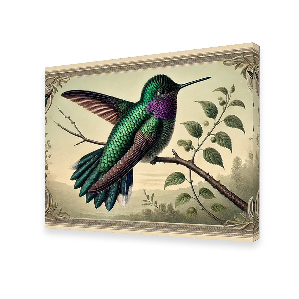 Stunning JJ Audubon's Style Hummingbird Print Wall Art for Home Decor