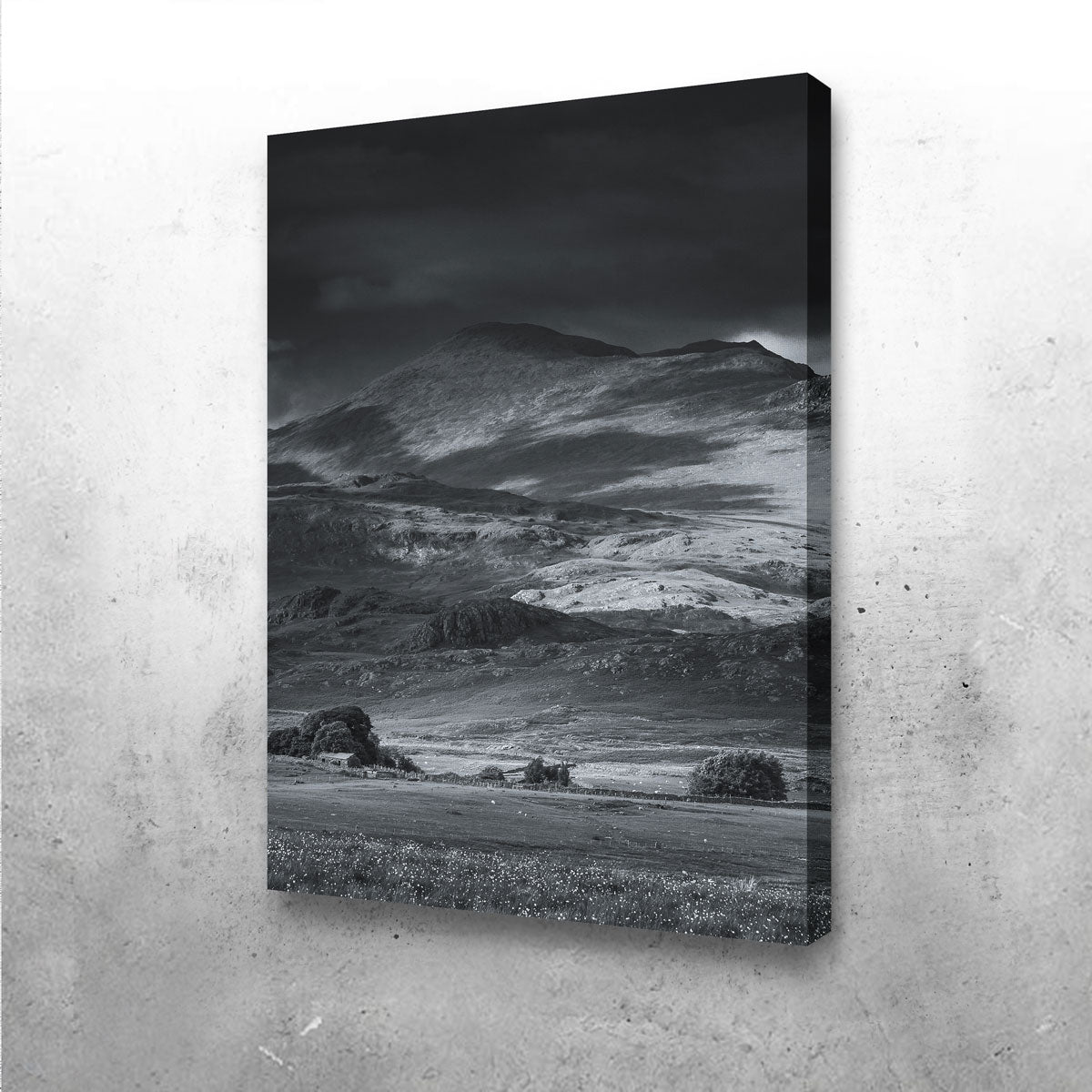 Breathtaking Prairie to Peak Wall Art by Mike Cotton