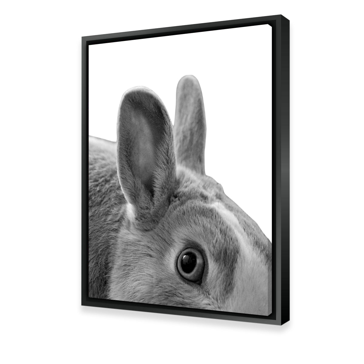 Exquisite Rabbit Wall Art by Lawisi
