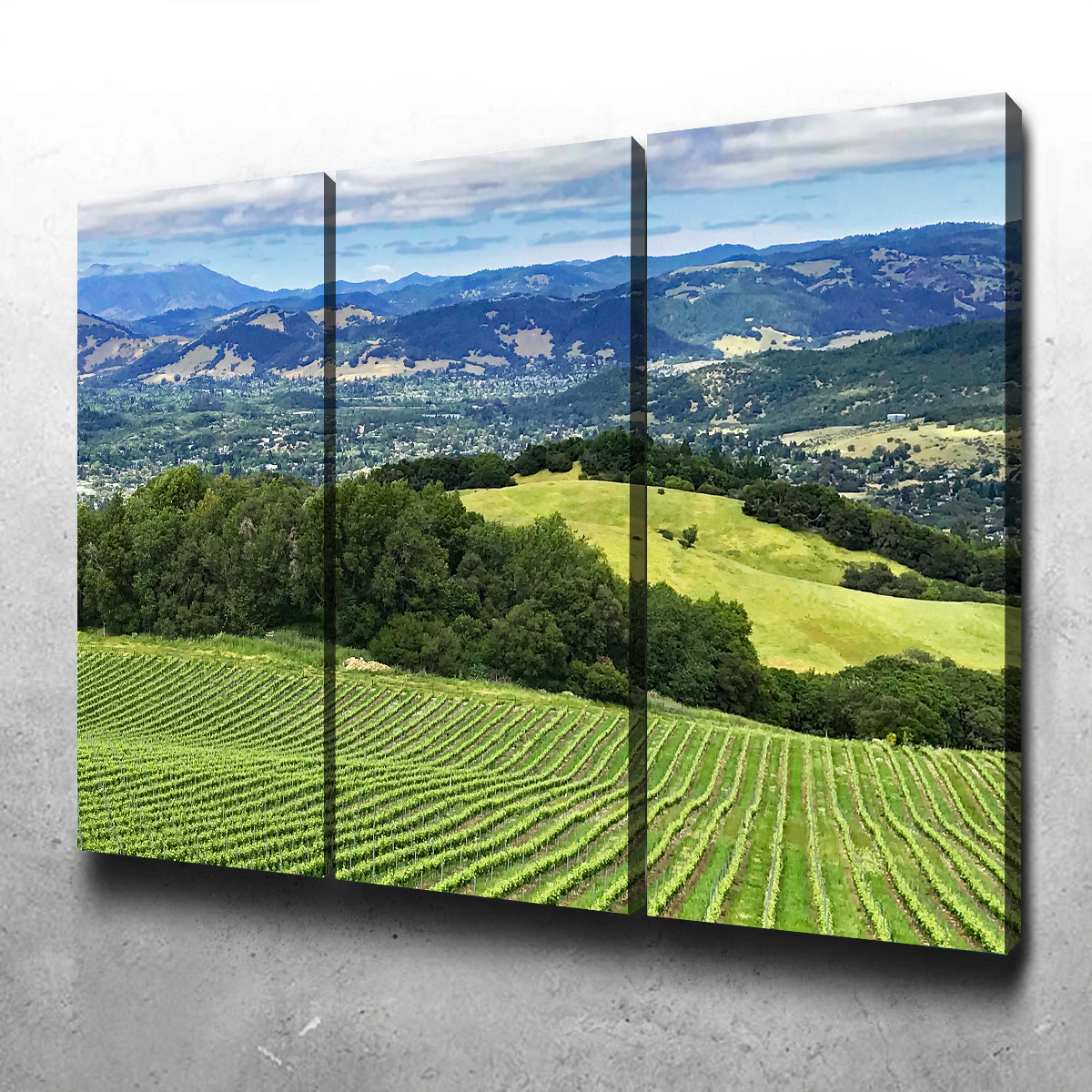 Stunning Rolling Hills and Vineyards of Sonoma County Wall Art for Your Home Decor