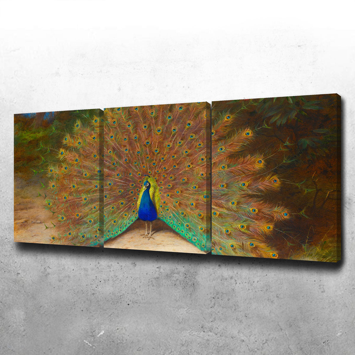 Exquisite Peacock and Peacock Butterfly Wall Art by Archibald Thorburn