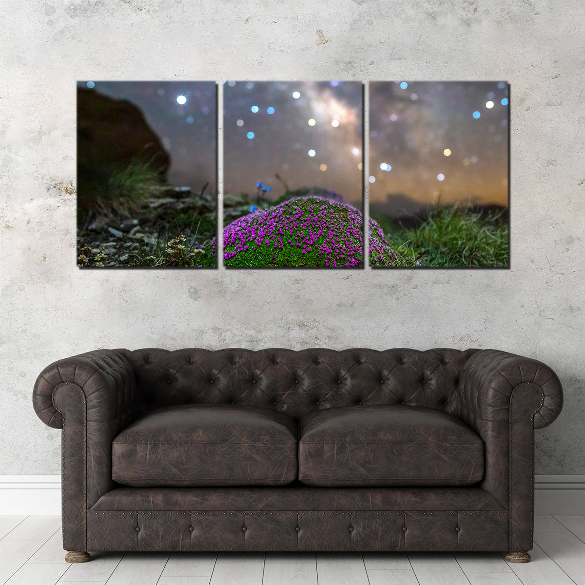 Gorgeous Star Studded Silène Wall Art by Jeff Graphy