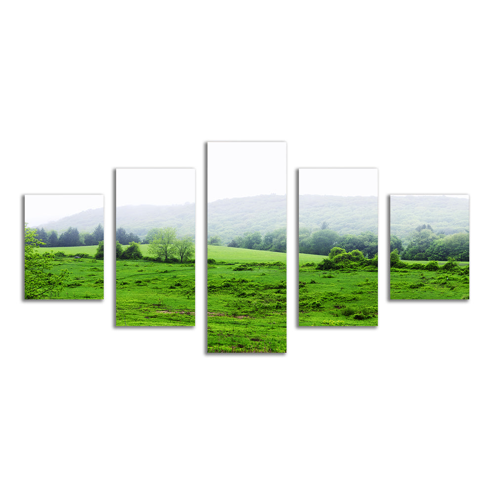 Tarrywile Park Stunning Wall Art for Your Home
