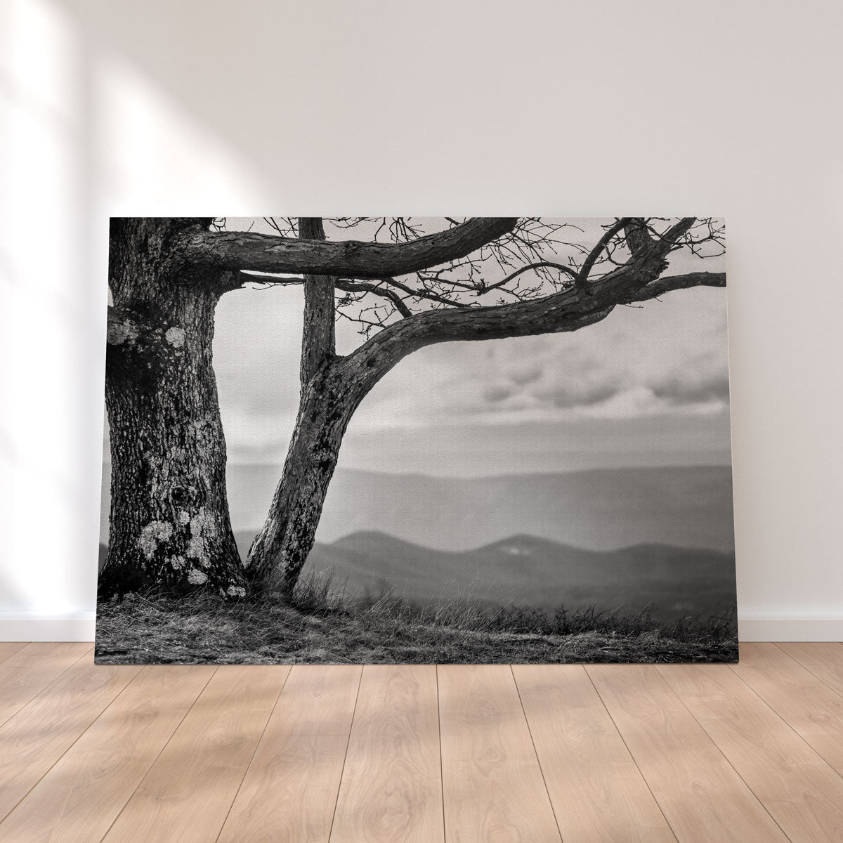 Stunning Desolate Limbs Wall Art by Dennis Maida