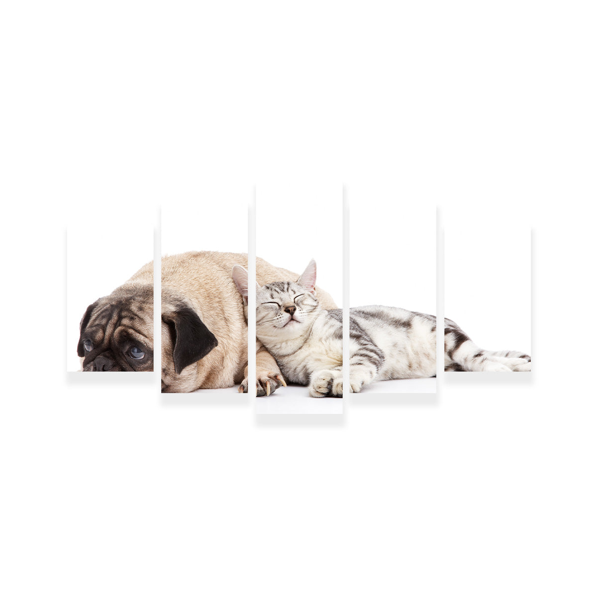 Adorable Pug and Cat Wall Art for Home Decor