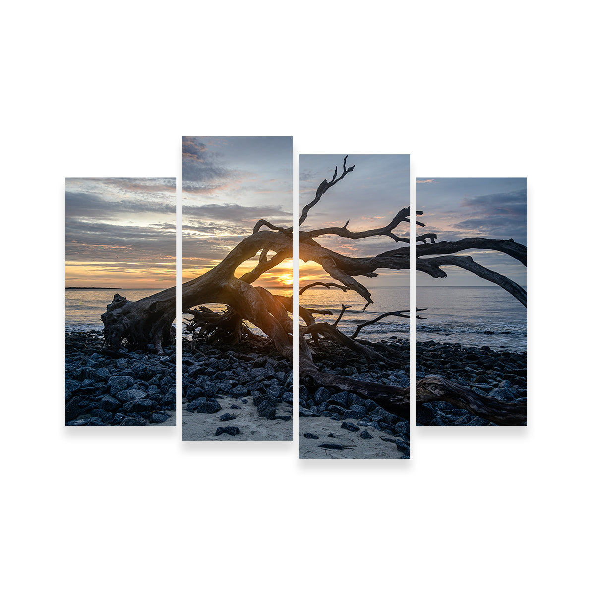 Exquisite Jekyll Island, Georgia Wall Art by Barry Pack