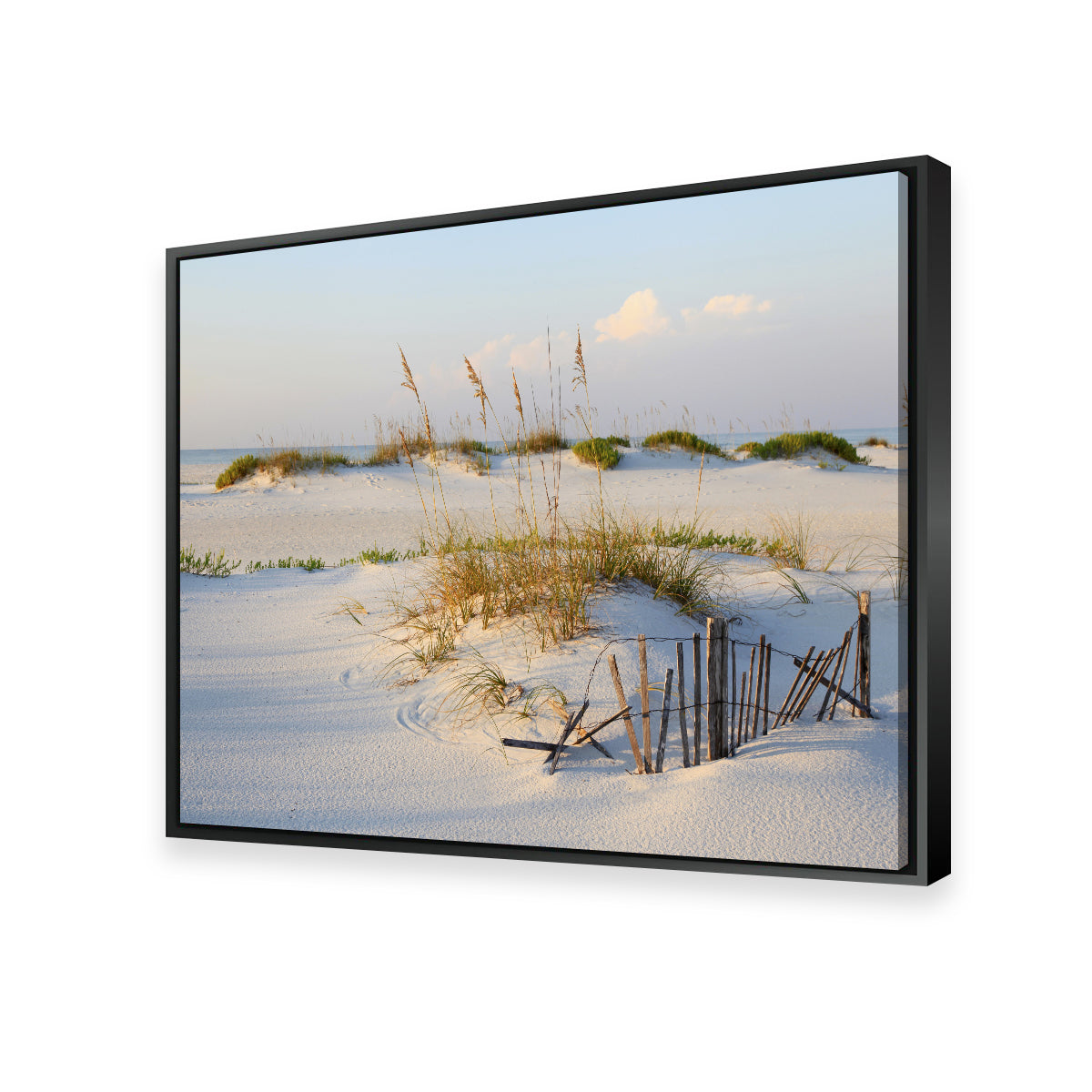 Stunning Sand Dunes and Sea Oats Wall Art for Your Home Decor