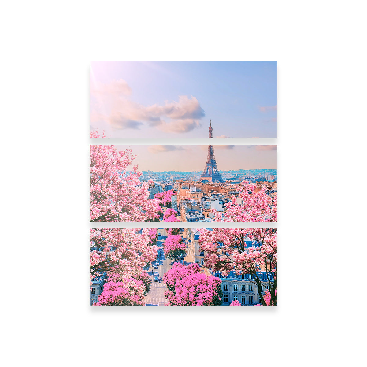 Exquisite Paris Sakura Wall Art for Home Decor