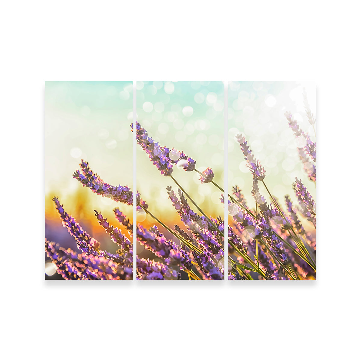 Gorgeous Sparkling Lavender Wall Art by Manjik Pictures