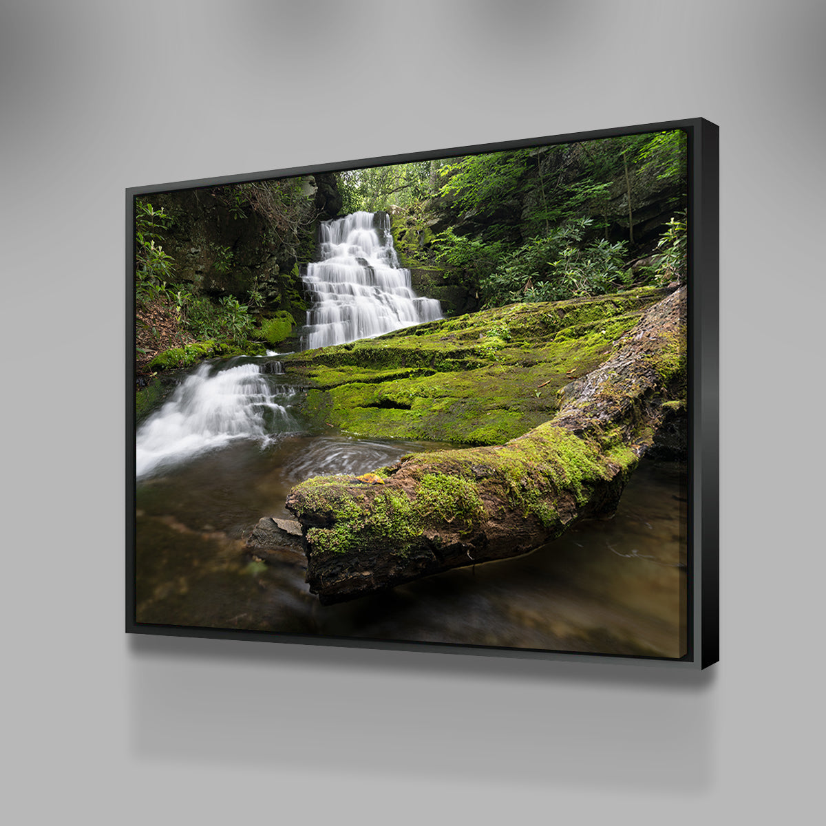 Stunning Rattlesnake Falls Wall Art by Shaun Mayer
