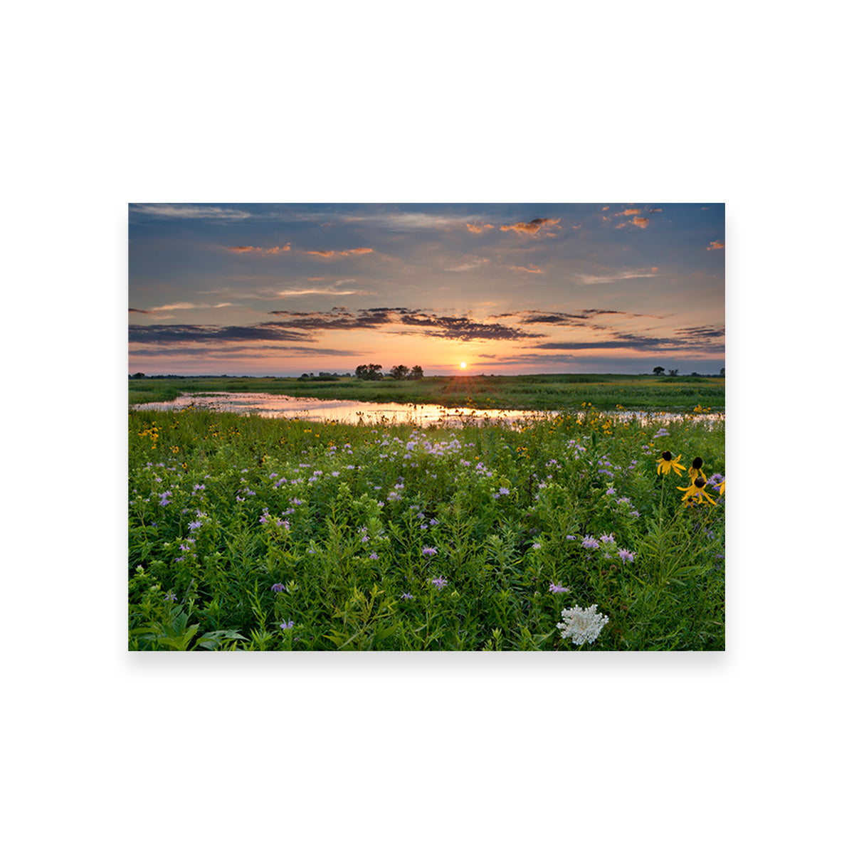 Stunning Open Field in Illinois Wall Art for Your Home Decor