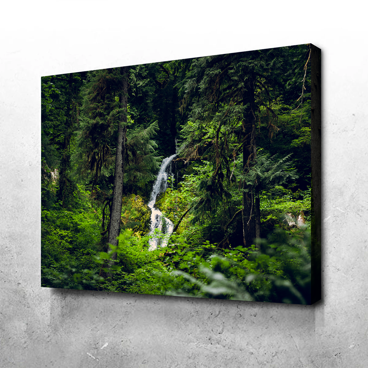 Exquisite Rainforest Waterfall Wall Art by Kyle Sherry