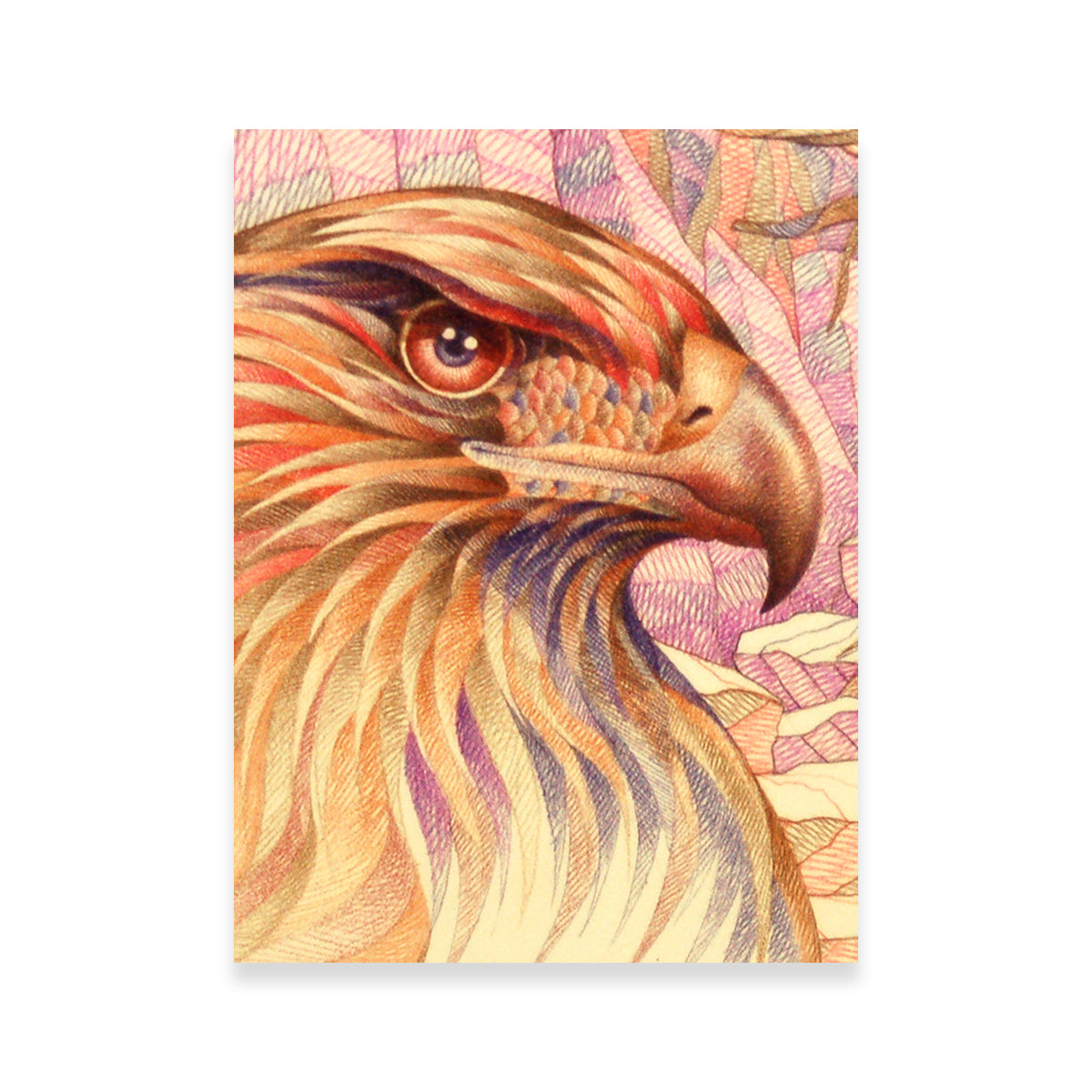 Eye - Catching Raptor's On The Lookout Wall Art for Your Home Decor