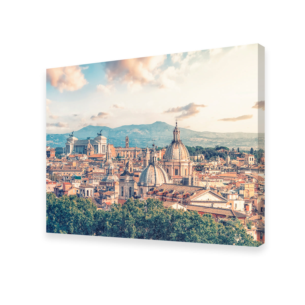 Exquisite Rome Roofs Wall Art by Manjik Pictures