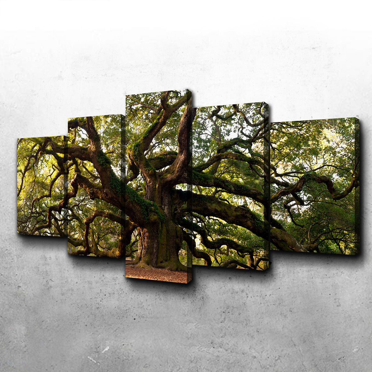 Exquisite Charleston Angel Oak Wall Art for Stunning Home Decor