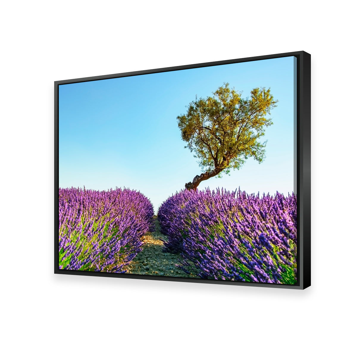 Exquisite Provence Landscape Wall Art for Stunning Home Decor