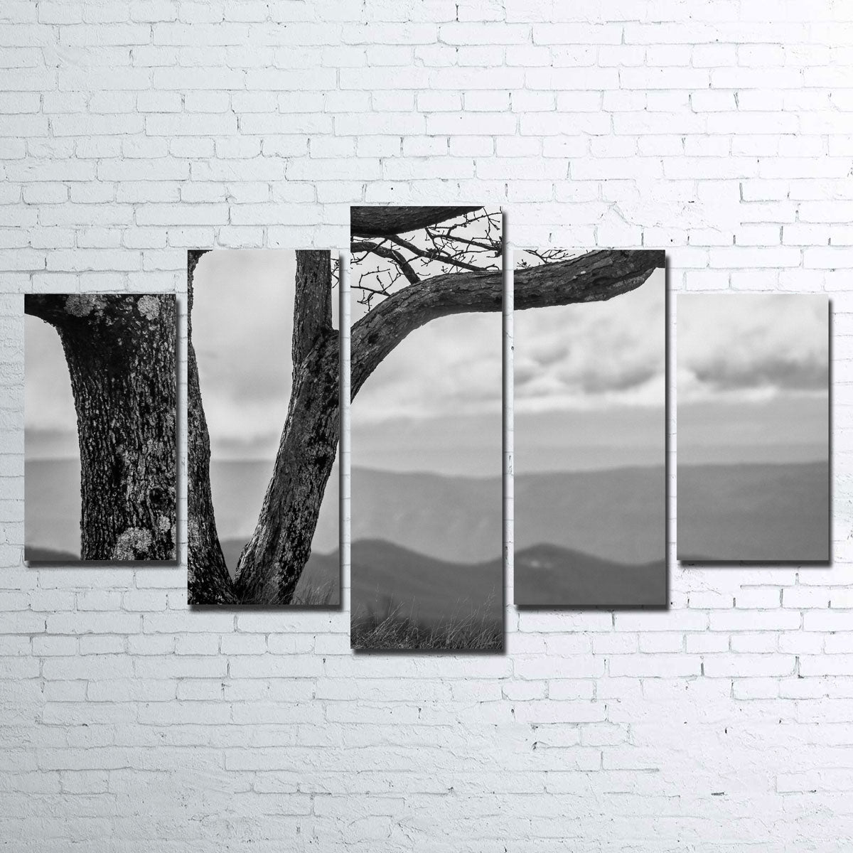 Stunning Desolate Limbs Wall Art by Dennis Maida