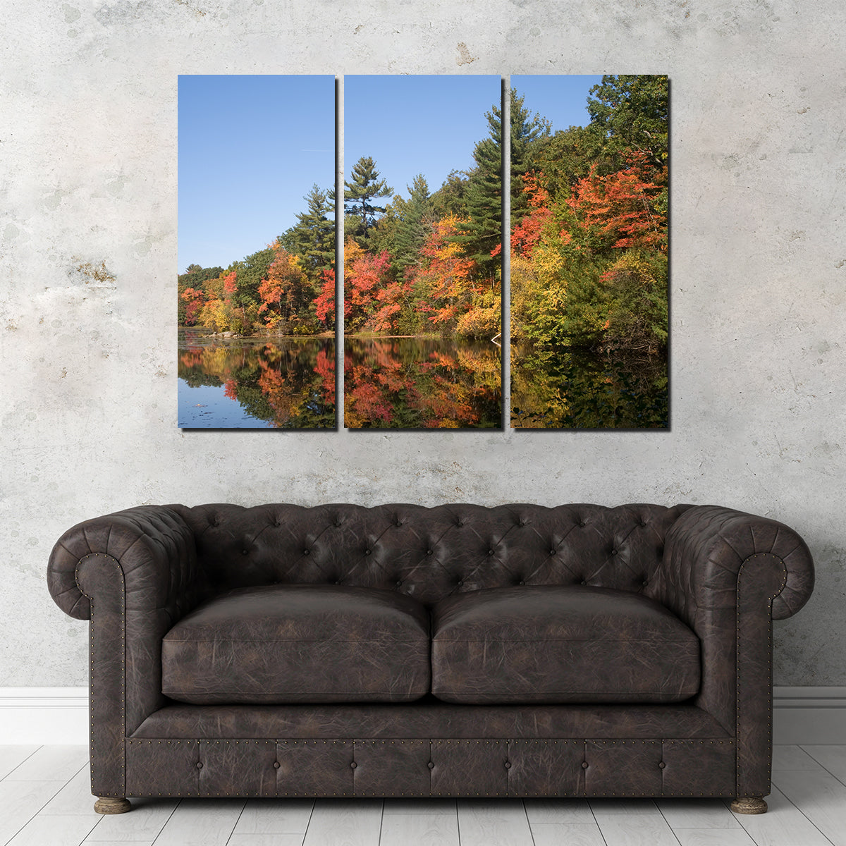 Stunning Harold Parker State Park Wall Art for Home Decor