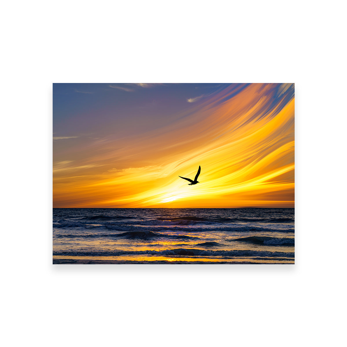 Exquisite A Fly By Wall Art by Eileen Rollin