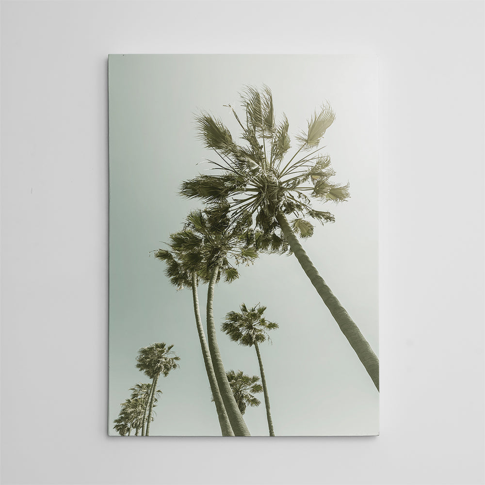 Exquisite Palm Trees in the Sun Wall Art for Stunning Decor
