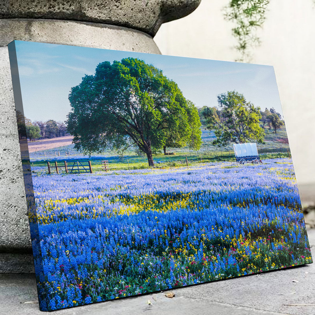 Gorgeous Texas Hill Country in Spring Wall Art for Stunning Home Decor